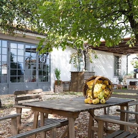 Villa Vallecento Con Giardino - Borgo Stays Monterosi Dış mekan fotoğraf
